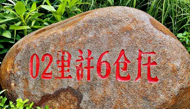 电商代运营服务中用户需求的常见误解与应对